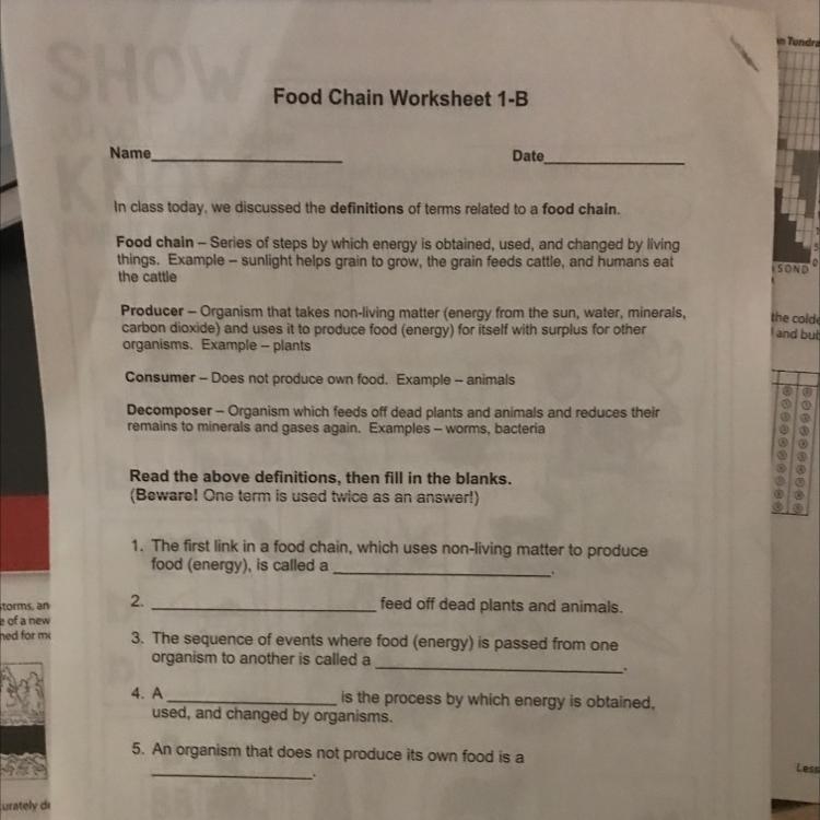 Food Chain Worksheet 1-B-example-1