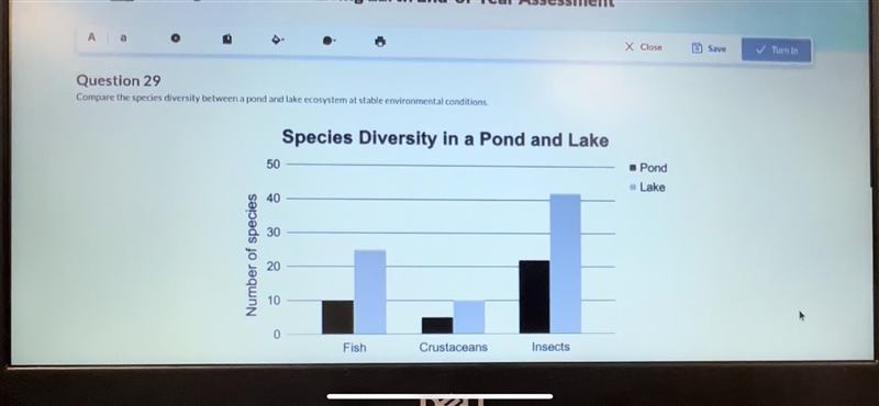 Compare the species diversity belween a pondand lake ecosystem at stable environmentalconditions-example-1