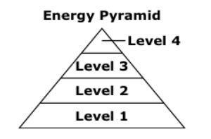 An energy pyramid for an ecosystem is shown below. The producers in the ecosystem-example-1