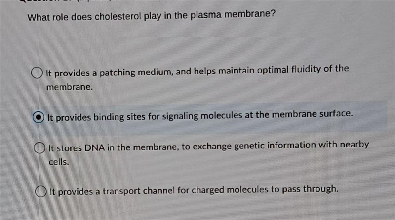 What is the right answer?​-example-1