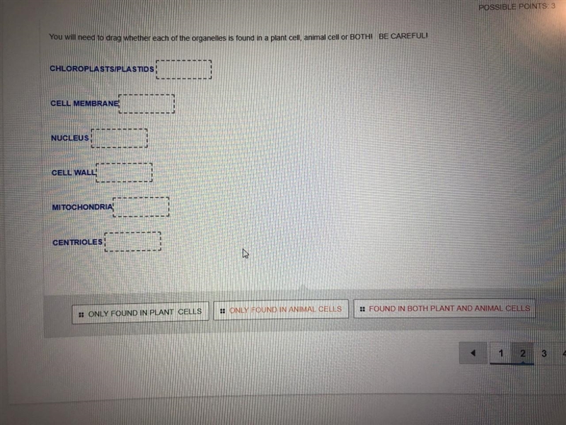 You will need to drag whether each of the organelles is found in a plant cell, animal-example-1