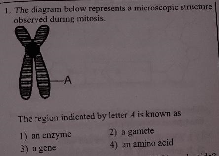 The region indicated by letter A is known as-example-1