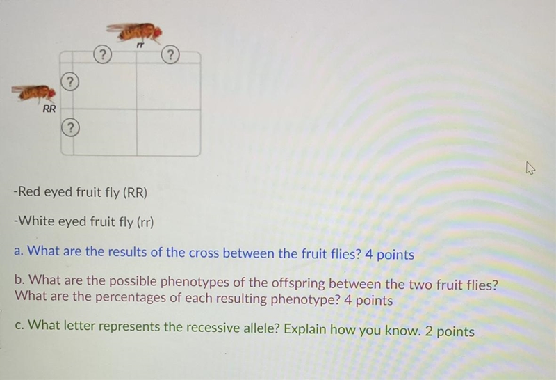 Hi I need help with this question please and thank u-example-1