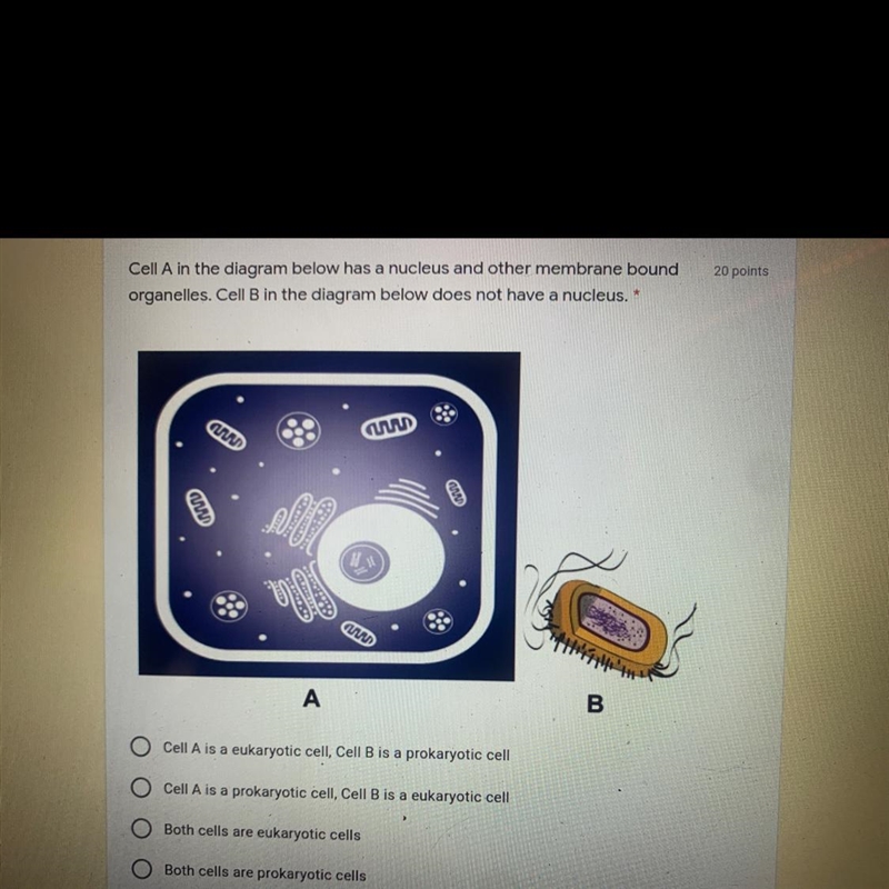 I need to know which answer is the correct answer so.. I can finish my homwork-example-1