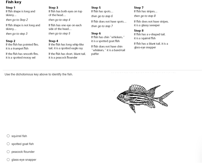 Use the dichotomous key above to identify the fish.A) squirrel fishB) spotted goat-example-1