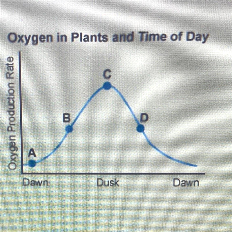 Question 1 of 10 According to the graph below, at which point is the plant performing-example-1