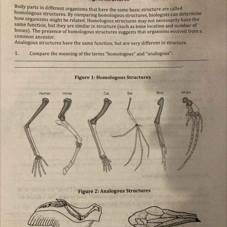 Help? ASAP pleaseeeeeeee-example-1