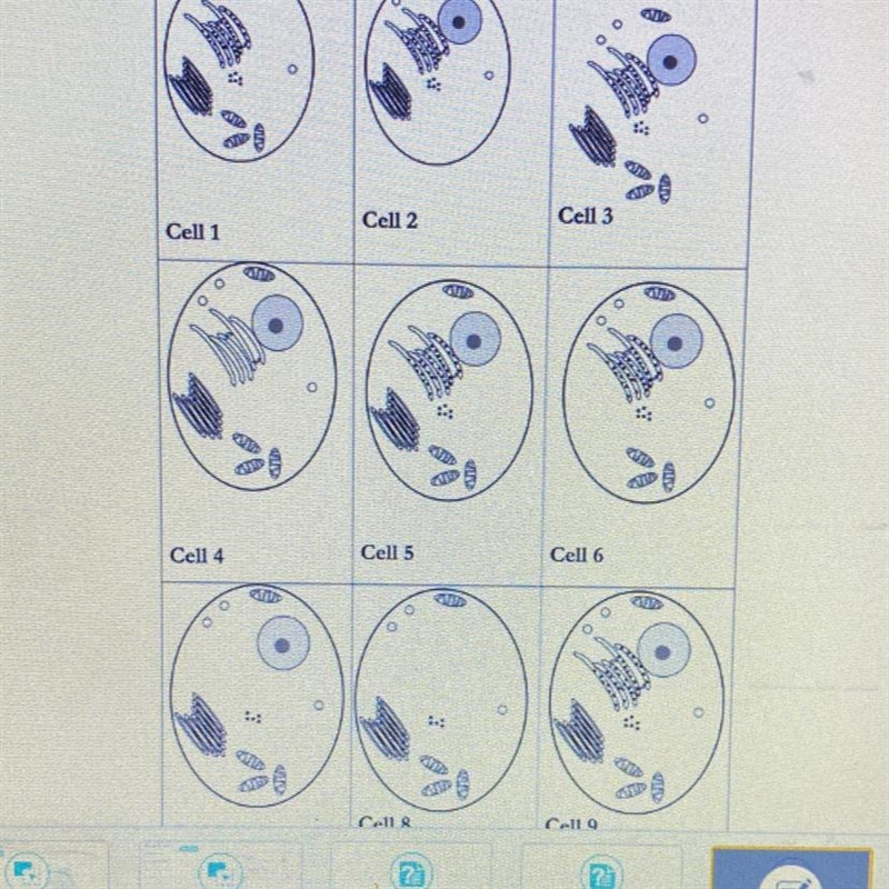 Cell 1 is missing one organelle. What is this organelle? List as many reasons as possible-example-1