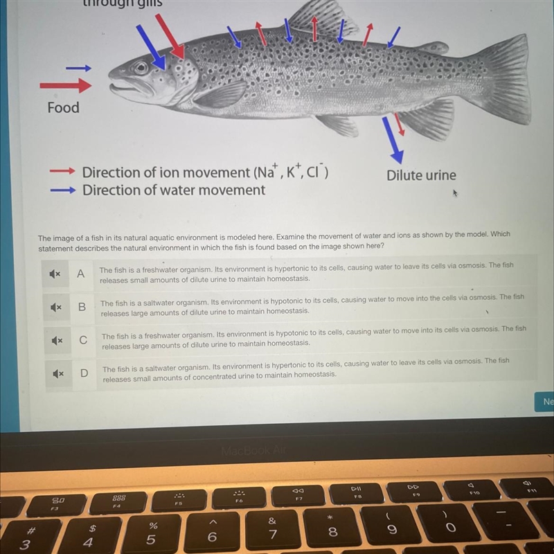 Does anybody know the answer to this question ?????-example-1