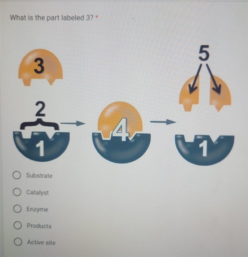 What is the part labeled 3? ​-example-1