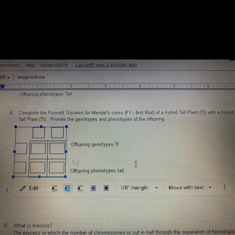 Complete the Punnett squares for Mendel‘s cross (F1- first filial) of a hybrid Tall-example-1