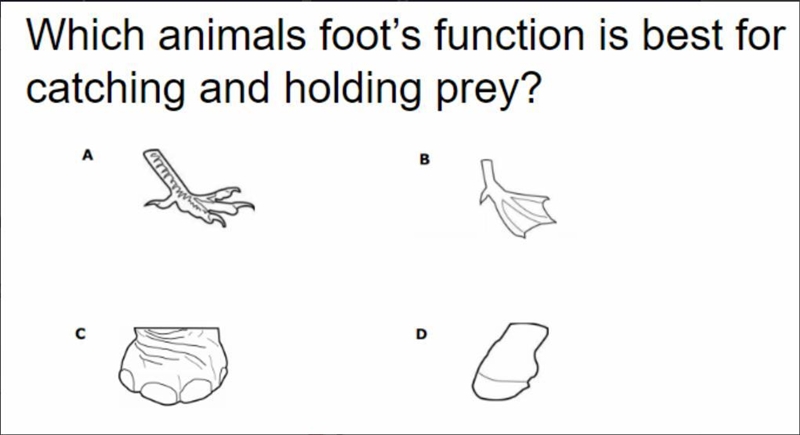 Can anybody help me :)-example-1