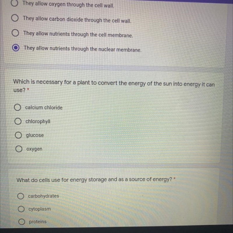 Which is necessary for a plant to convert the energy of the sun into energy it can-example-1