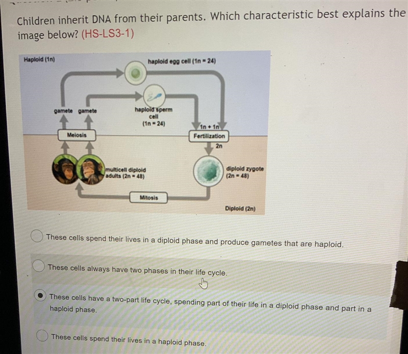 Hello, I’m not sure if my answer is right, please correct me and thank you-example-1