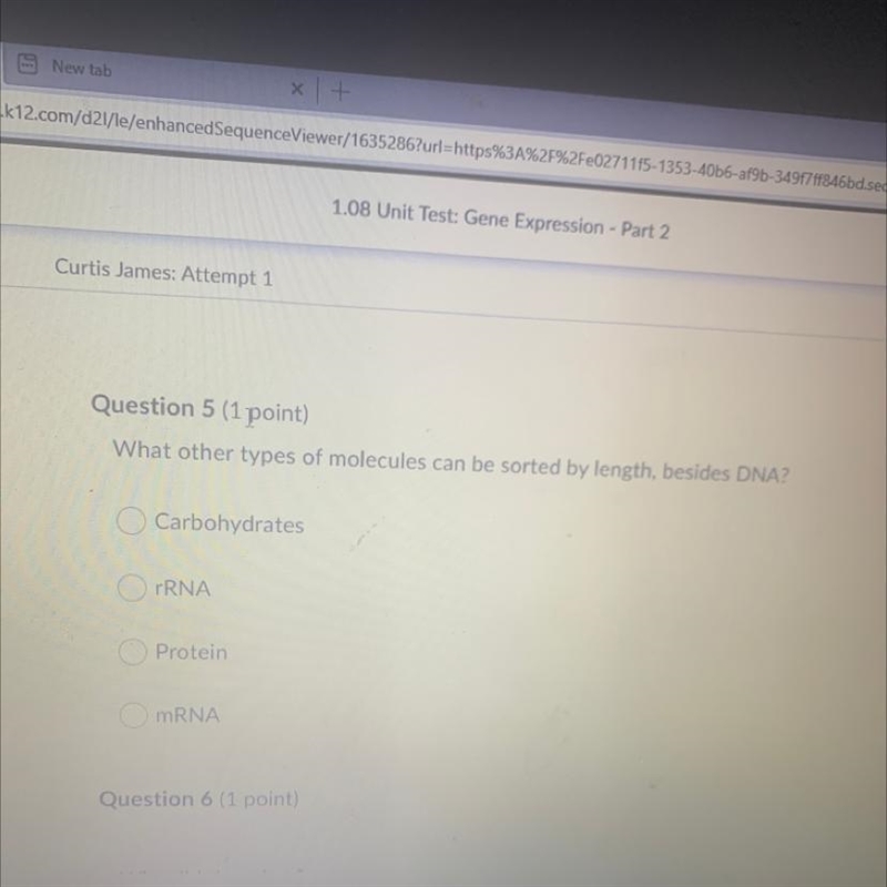 What other types of molecules can be sorted by length, besides DNA?-example-1