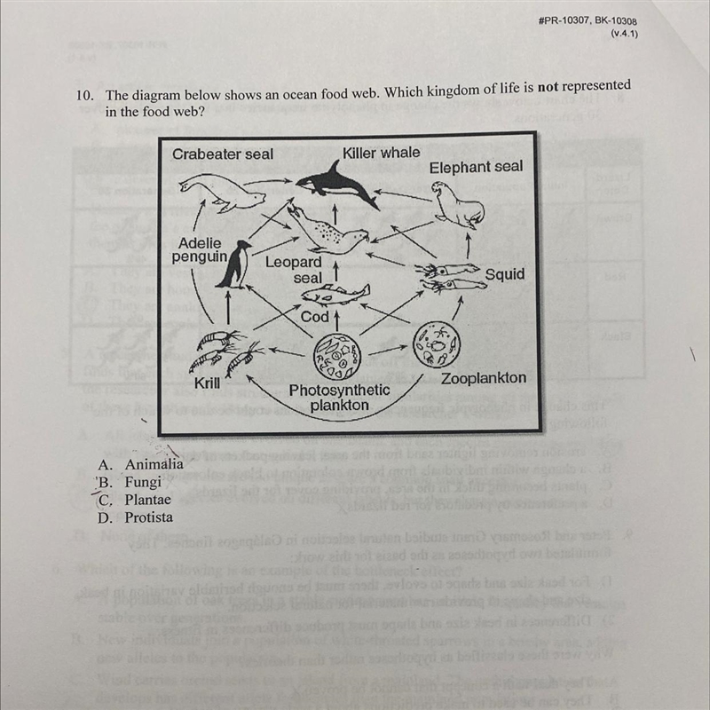 I need help with finding the answer to this question number 10-example-1