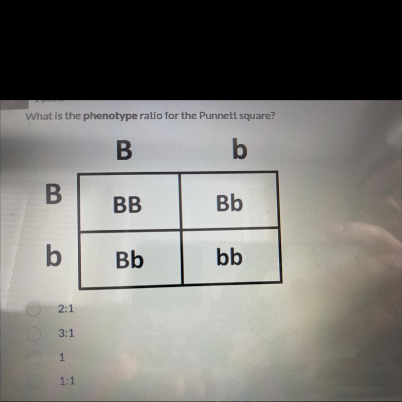 What is the phenotype ratio for the Punnett square? • 2:1 • 3:1 • 0 1 • 1:1-example-1