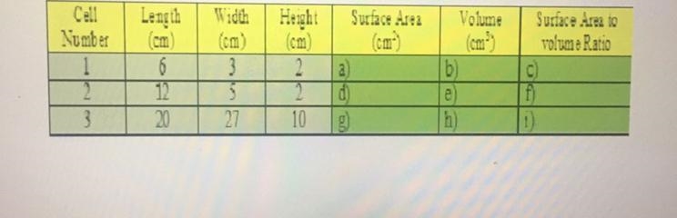 Which cell has the fastest rate of diffusion across the surface?-example-1