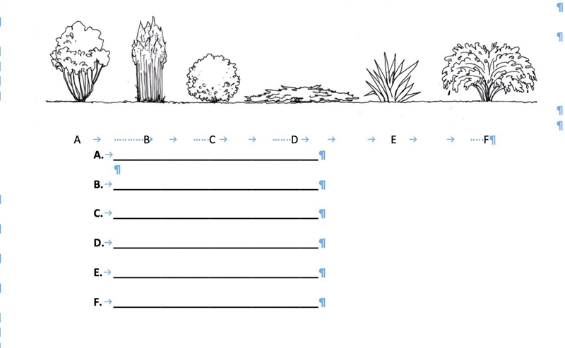 Try to classify the following stem growth forms.-example-1