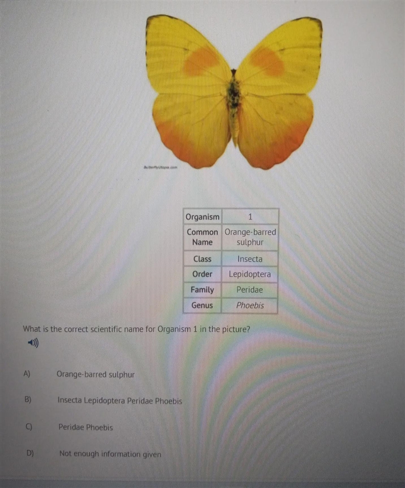 I think its D but i need help with this question-example-1