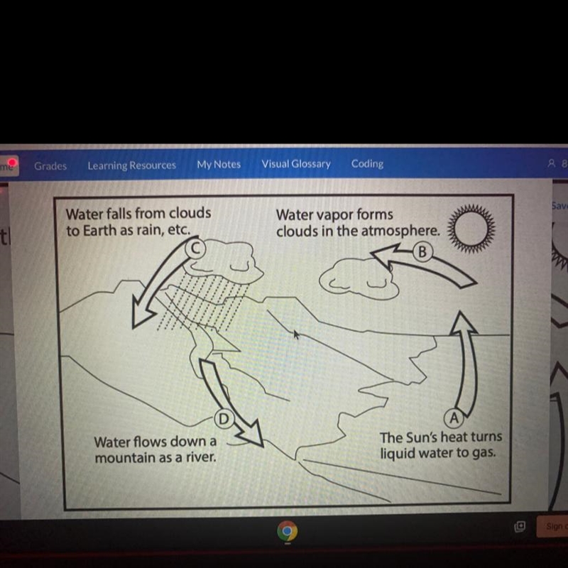 In the diagram of the water cycle below, describe which parts are driven by the force-example-1