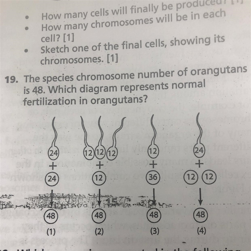 Question 19 is what I need help with pls help-example-1