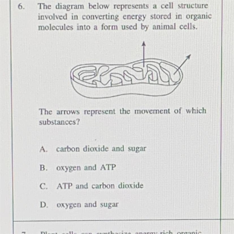 The diagram below represents a cell structure involved in converting energy stored-example-1