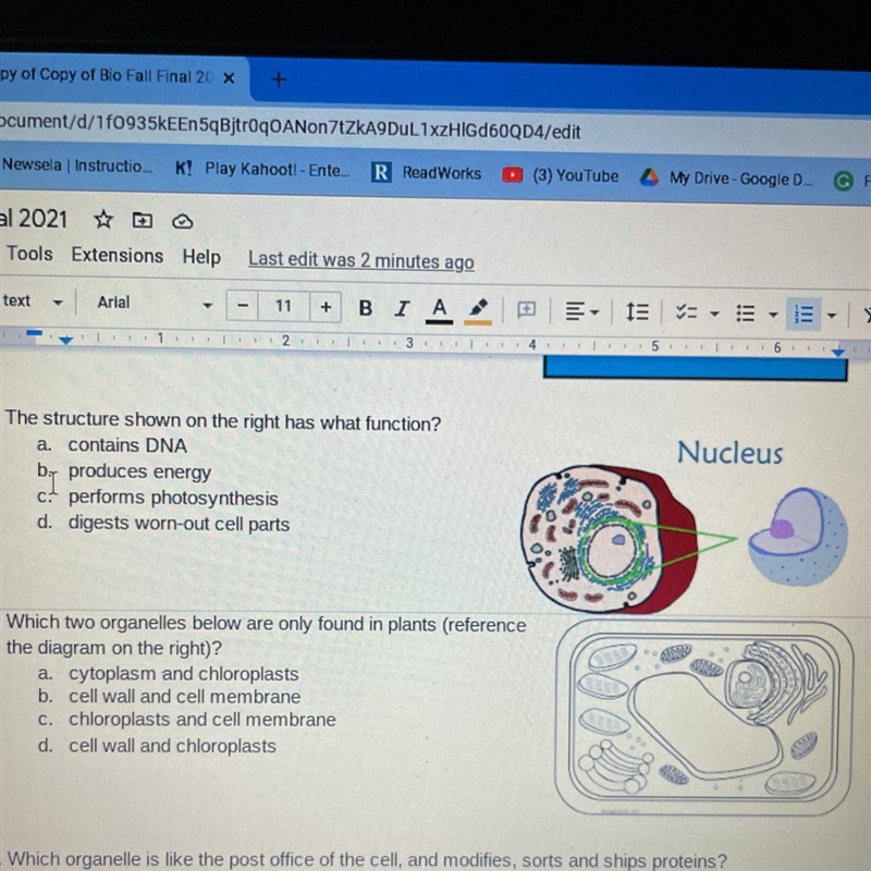 The structure shown on the right has what function?-example-1