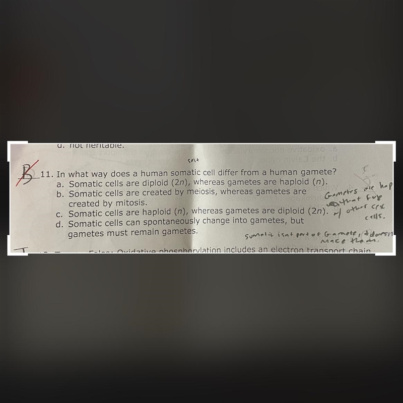In what way does a human somatic cell differ from a human gamete?And why is B incorrect-example-1