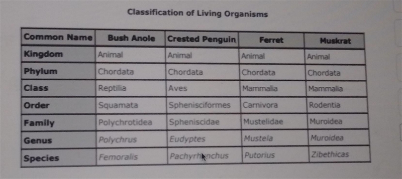 A student researched the taxonomical classifications of four different organisms. At-example-1