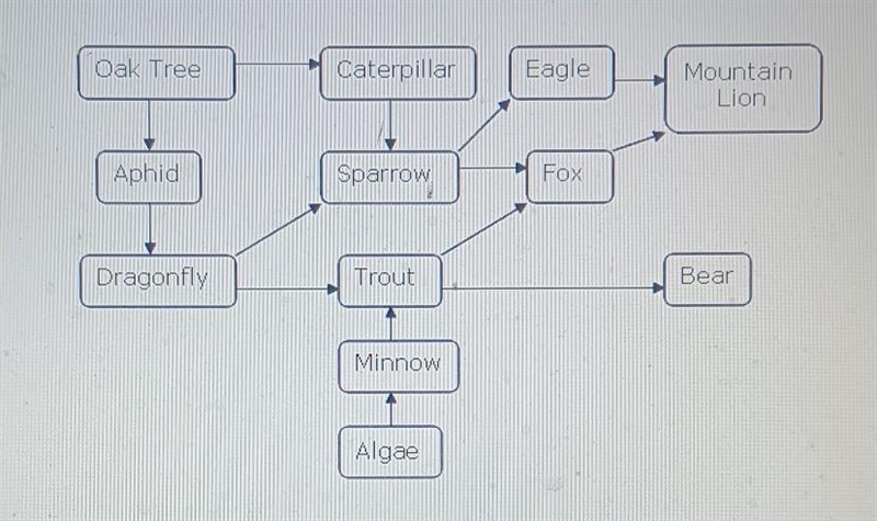 Examine the food web below. Which organisms in the food web are primary consumers-example-1