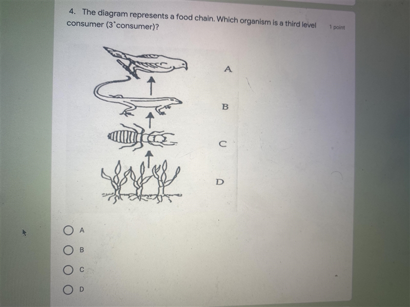 Answer questions Please-example-1