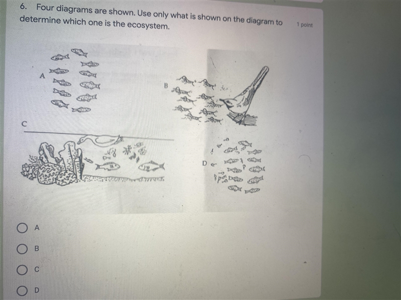 Answer questions Please-example-3