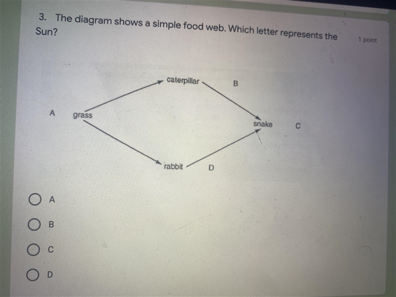 Answer questions Please-example-4