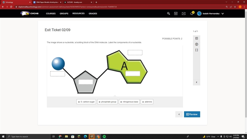 POSSIBLE POINTS: 2 The image shows a nucleotide, a building block of the DNA molecule-example-1