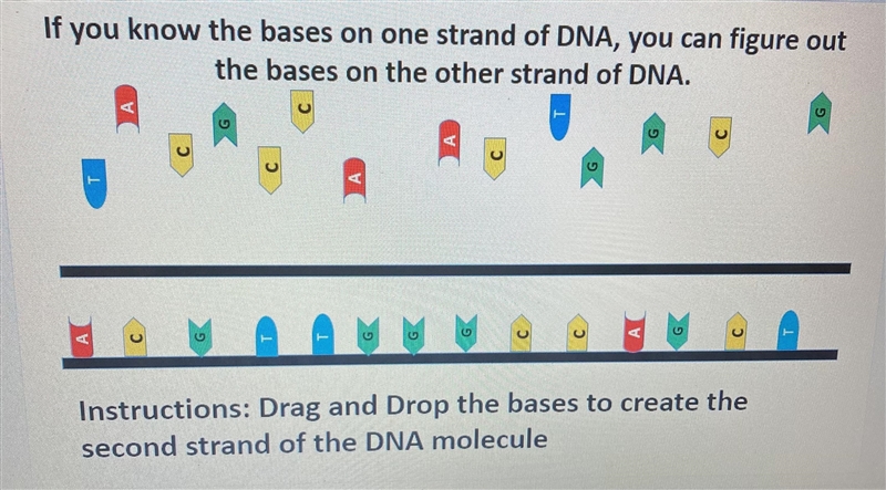 Please help and explain-example-1