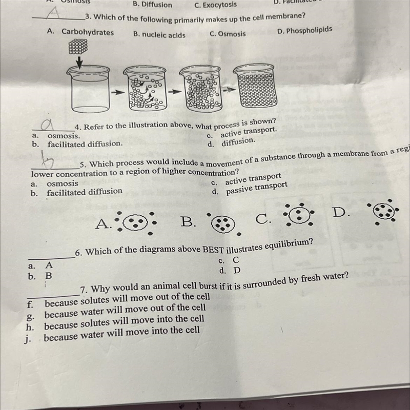 6. Which of the diagrams above BEST illustrates equilibrium? a.A b.B c. C d. D-example-1