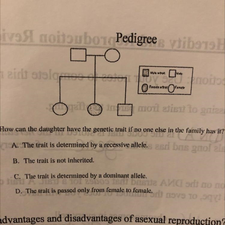 Please someone help me-example-1