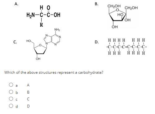 Help! Biology A 20 pts!!!!!-example-1