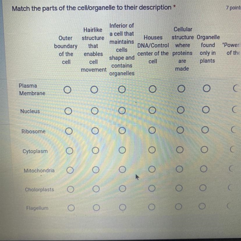 What are these answers?-example-1