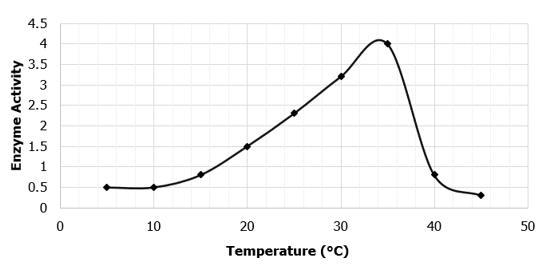 The graph shows the effect of temperature on the activity of an enzyme. At what temperature-example-1