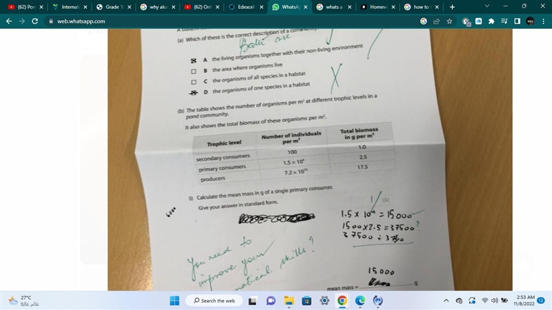 How to find the mean mass?-example-1