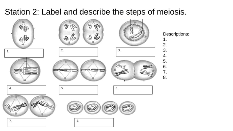 I need help with this-example-1