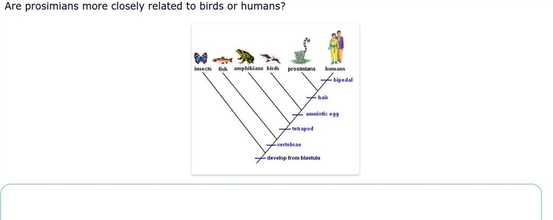 EVOLUTION QUESTION FOR PAST APES/AP BIO STUDENTS!!!-example-1