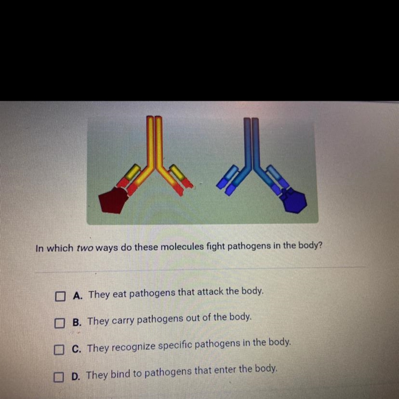 In which two ways do these molecules fight pathogens in the body?-example-1