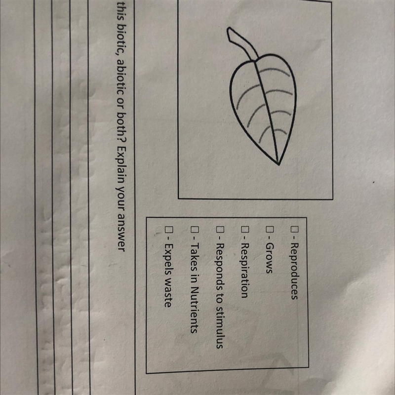 Is a leaf biotic or abiotic?-example-1