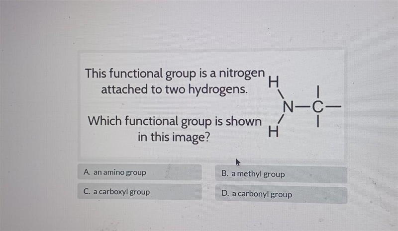 This functional group is a nitrogen H attached to two hydrogens. Which functional-example-1