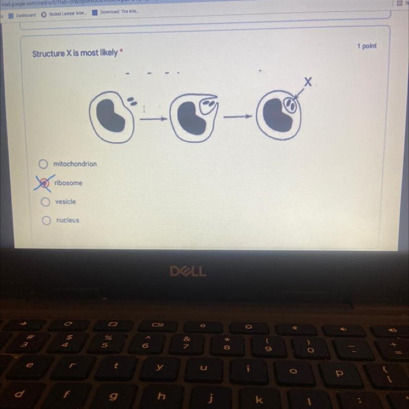 Structure X is most likely-example-1