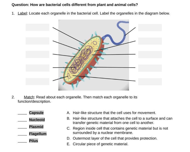 I need the answer fast as you can-example-1