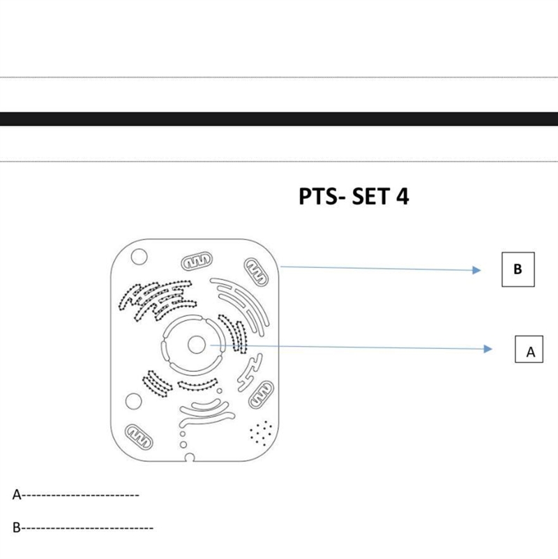 Name the parts labelled in the given cell diagram. 15 points…!!!-example-1